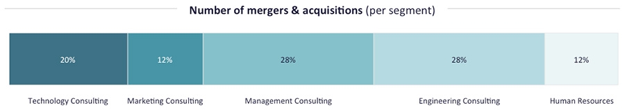 M&A in Consulting by Segment