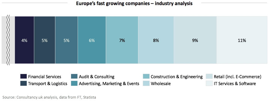 Europe's fast growing companies - Industry analysis