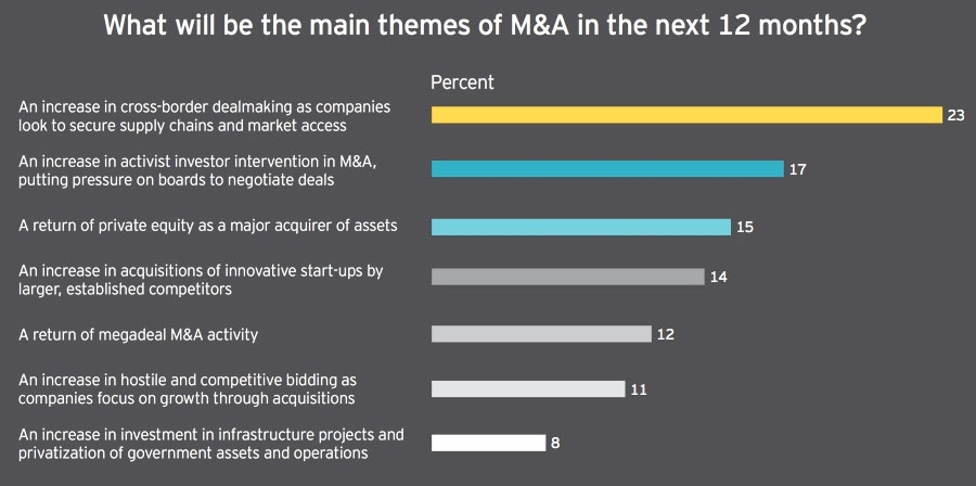 What will be the main themes of M&A in the next 12 months