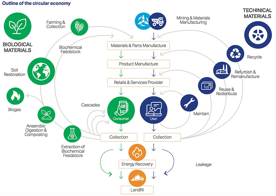 Circular Economy Examples