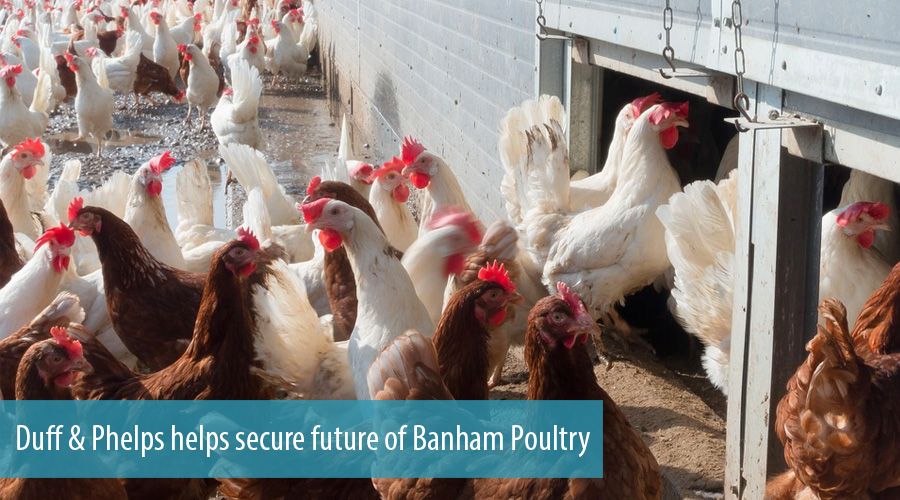 Duff & Phelps helps secure future of Banham Poultry