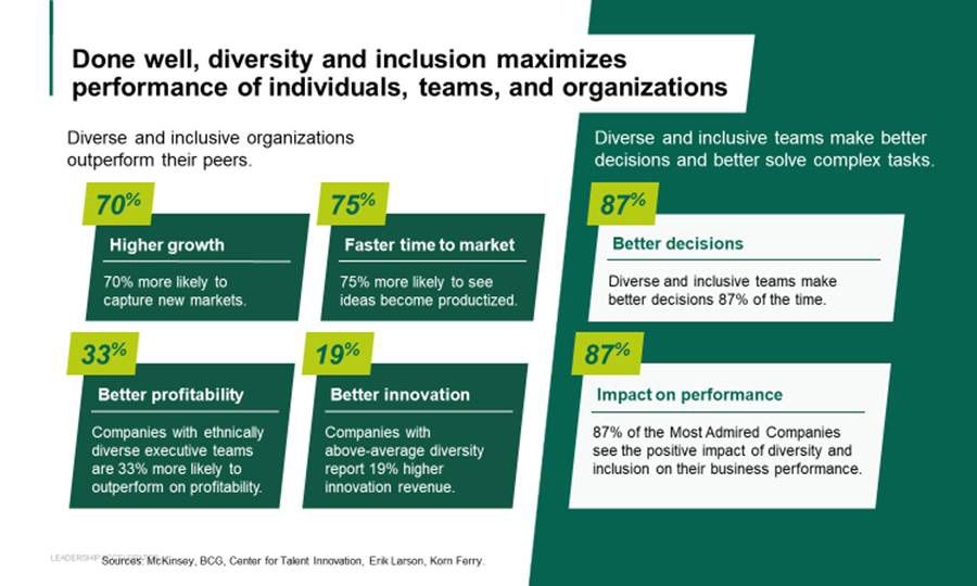 Dimensions of diversity slide