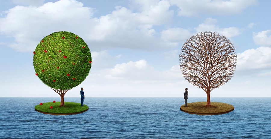 Researcher warns world on course for societal collapse