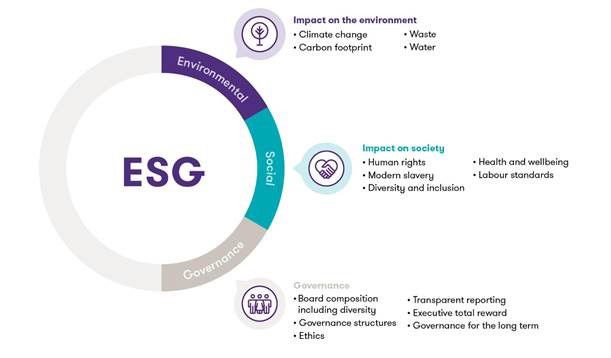 SME ESG ambitions hindered by lack of management support