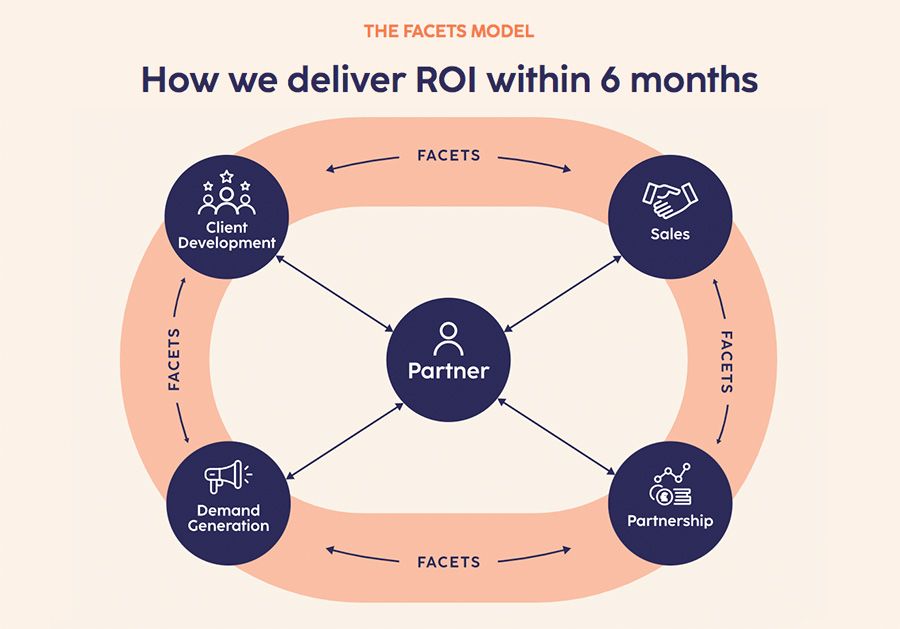 The Facets Model - How we deliver ROI within 6 months
