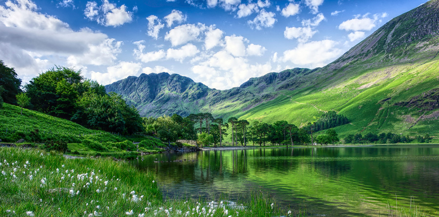 DEFRA hands Arup and Knepp Estate development funding