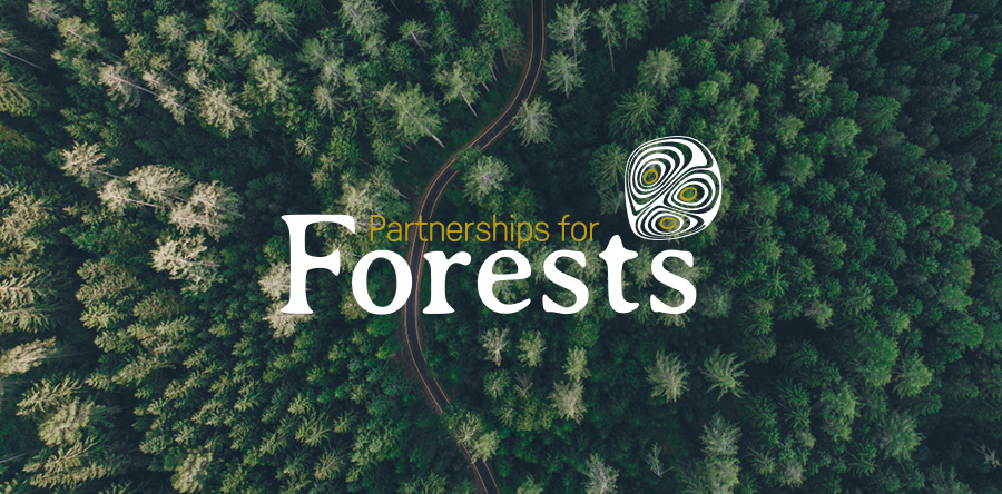 Partnerships for Forests hits £1 billion funding milestone Partnerships for Forests hits £1 billion funding milestone