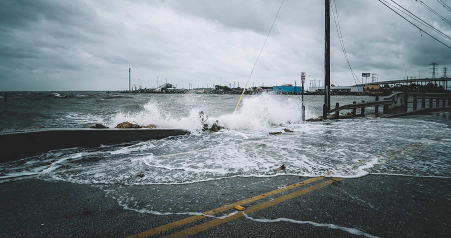 Six tips for leading an organisational response to the climate crisis Six tips for leading an organisational response to the climate crisis