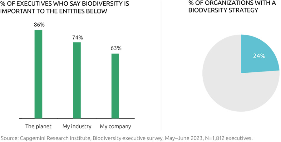 Four-in-five firms have no biodiversity strategy Four-in-five firms have no biodiversity strategy