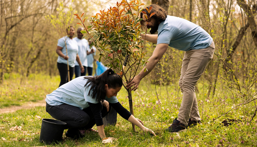 Businesses prioritising environment for employee volunteer drives