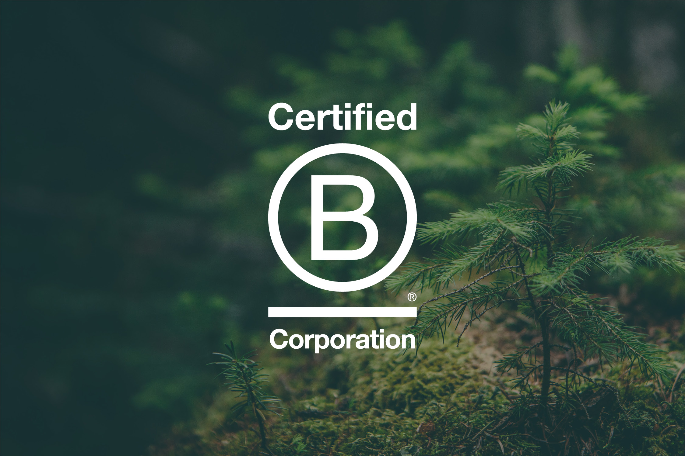 Menzies celebrates B Corp certification 1 Menzies celebrates B Corp certification