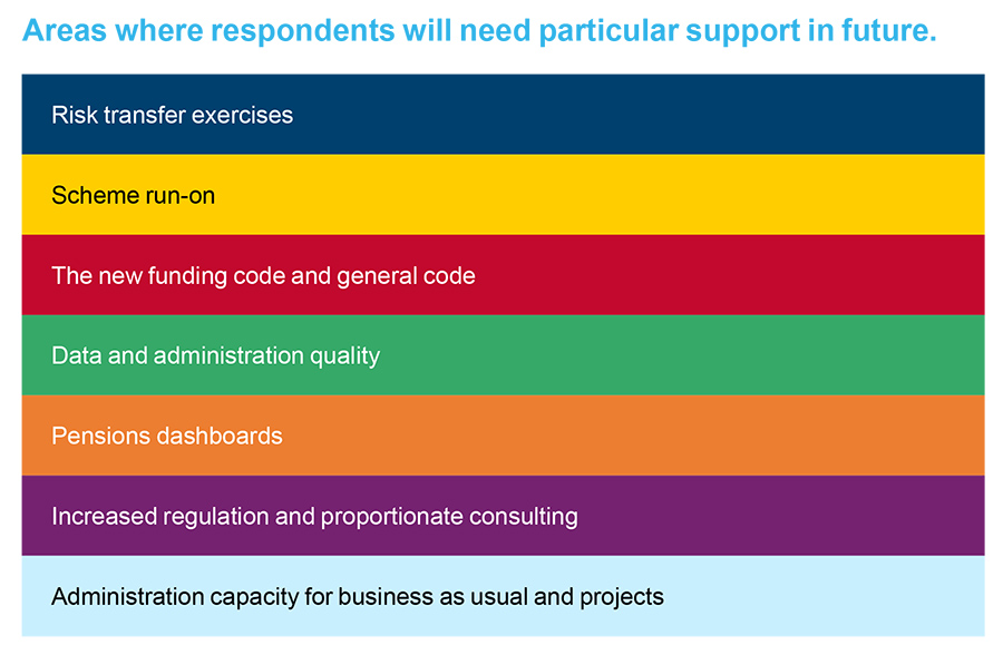 Areas where respondents will need particular support in future.