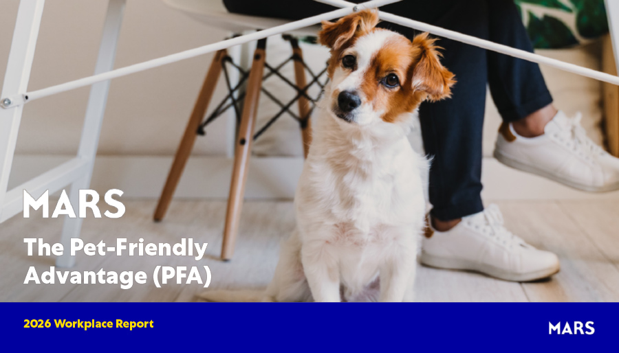 Majority of workers would quit their job for their dog