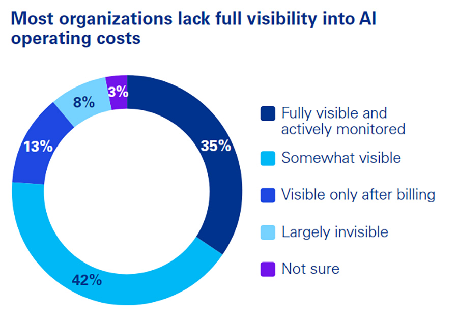 Most organizations lack full visibility into AI operating costs