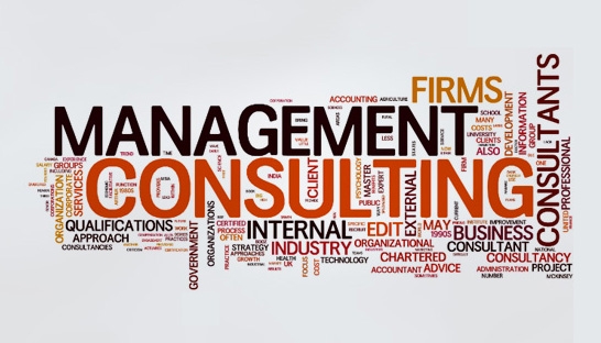 Study: Management Consulting adds value to clients