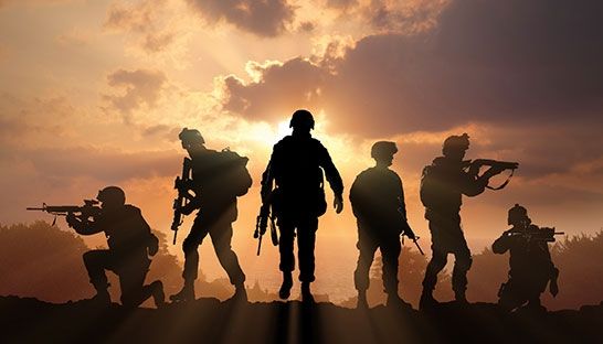 Capgemini provides SAP consulting services to the Swedish Army