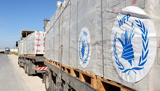 BCG partners with the WFP on refugee food security innovations in Jordan