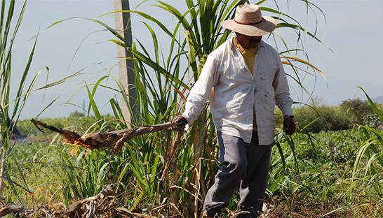 Colombian companies must apply basic labor standards to reach OECD standards