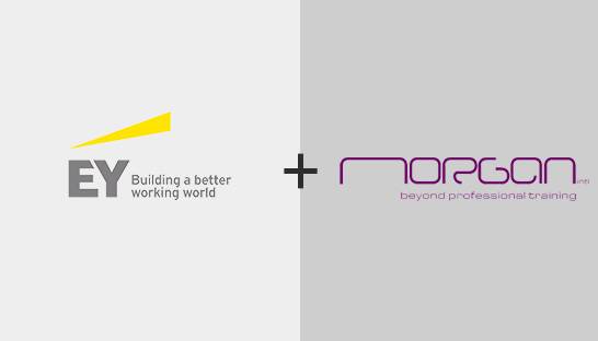 EY Iraq to collaborate with training institute Morgan International