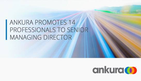Ankura promotes 14 to senior managing director 