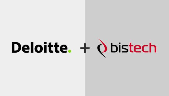Deloitte buys 20-strong data analytics consultancy Bistech