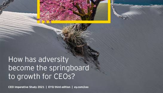 Transformation at the heart of the CEO business strategy in 2021