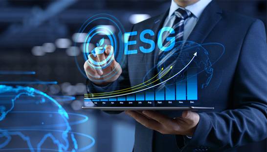 Asian companies need to act fast to optimize their portfolios