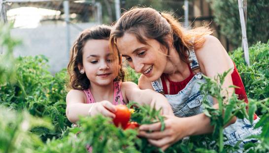 What organisations can do to reach sustainability-led consumers