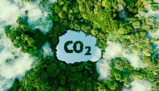 EY urges economic shift in face of international climate action