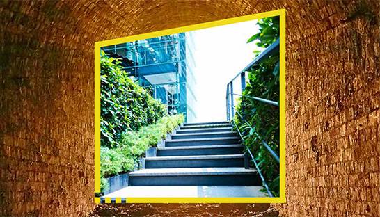 Corporate integrity landscape faces an execution gap, says EY