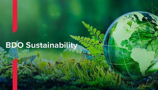 BDO bundles firm-wide capabilities to launch BDO Sustainability