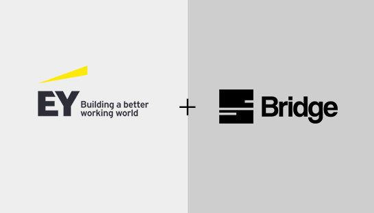 EY acquires data & analytics specialist Bridge Business Consulting