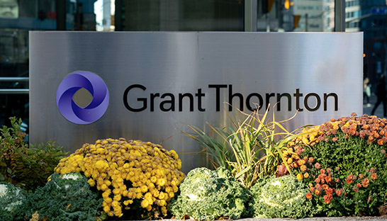 Grant Thornton appoints 75 partners, principals and managing directors