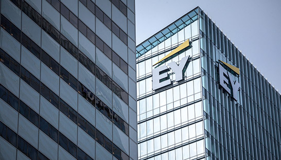 EY rejects TPG's proposal to buy stake in consulting arm 