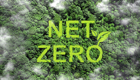 Only 18% of companies on track to reaching net zero by 2050