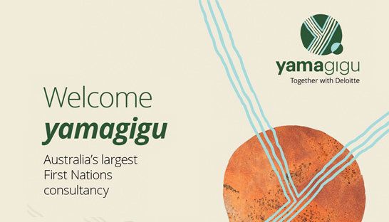 Deloitte’s indigenous consulting business relaunches as Yamagigu