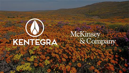 McKinsey helps Kenyan biotech firm Kentegra secure $25 million in funding