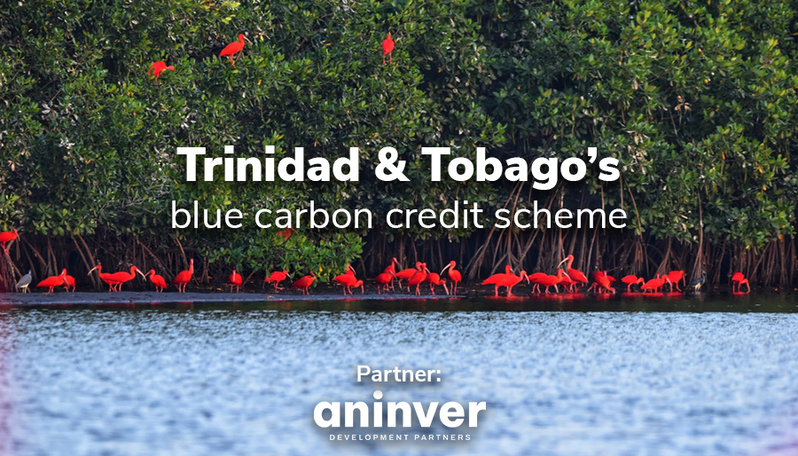 Aninver plays leading role in designing Trinidad & Tobago’s blue carbon credit scheme