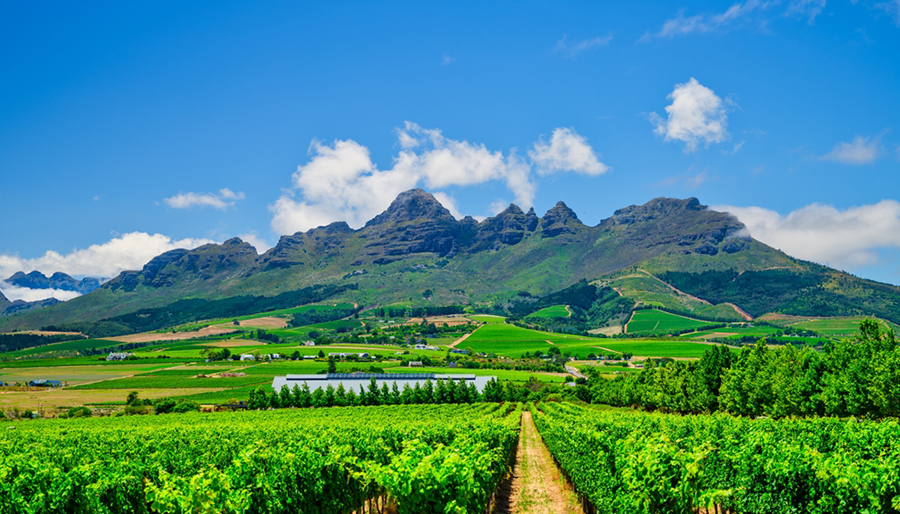 Agricultural sector is critical to ensure supply of food to FMCG sector