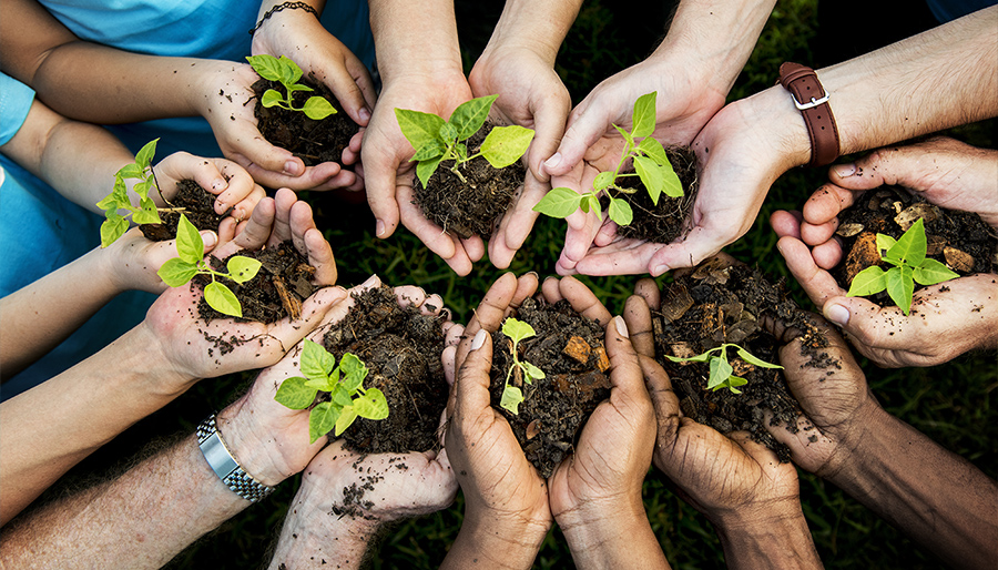 Charities urge more green volunteering in workplaces