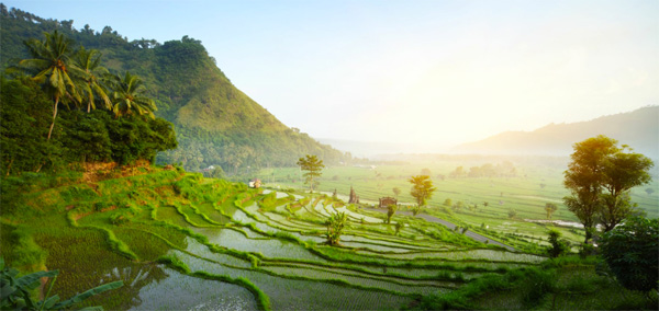 Bali - Indonesia Bali - Indonesia