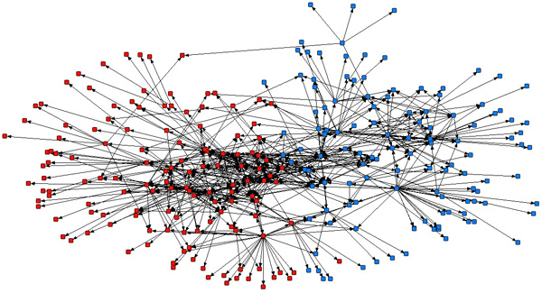 Company-E formal network