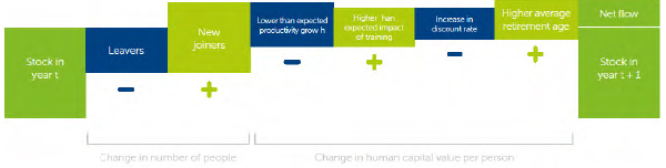 Enhancing SSE’s human capital value