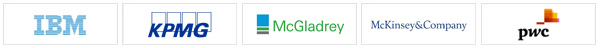 IBM, KPMG, McGladrey, McKinsey & Company, PwC
