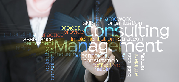 Management Consulting