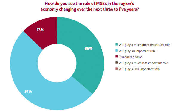 The role of MSBs in the Bristol region