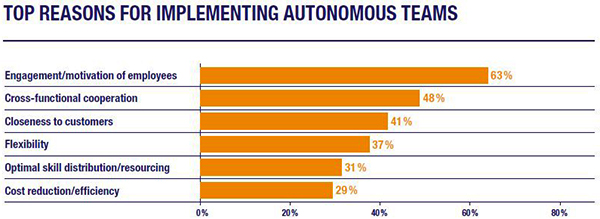 Top Reasons for Implementing Autonomous Teams