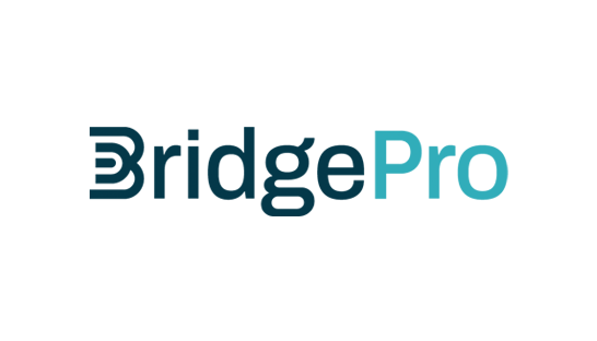Consulting firm in the UK: BridgePro