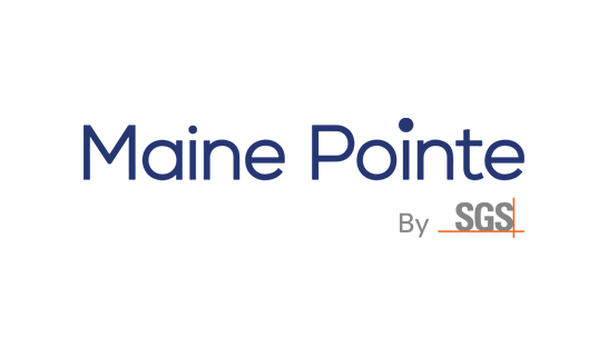Consulting firm in the UK: Maine Pointe